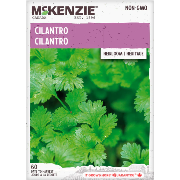 Product Image for Herb Cilantro Coriander