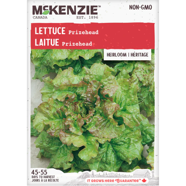 Product Image for Lettuce Prizehead