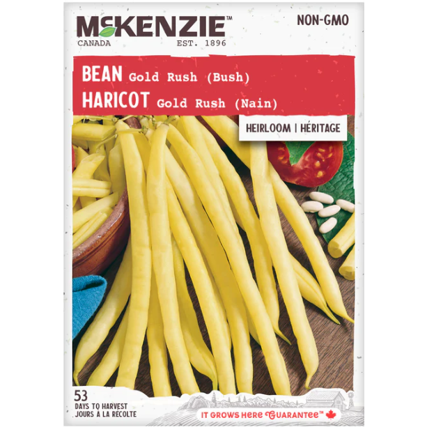 Product Image for Bean Gold Rush (B)