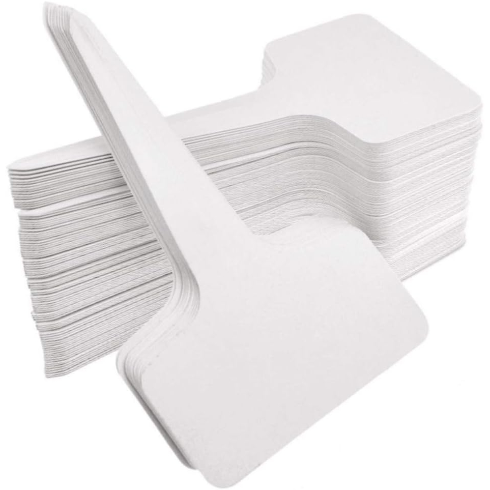 Product Image for 50 PC PLANT LABEL