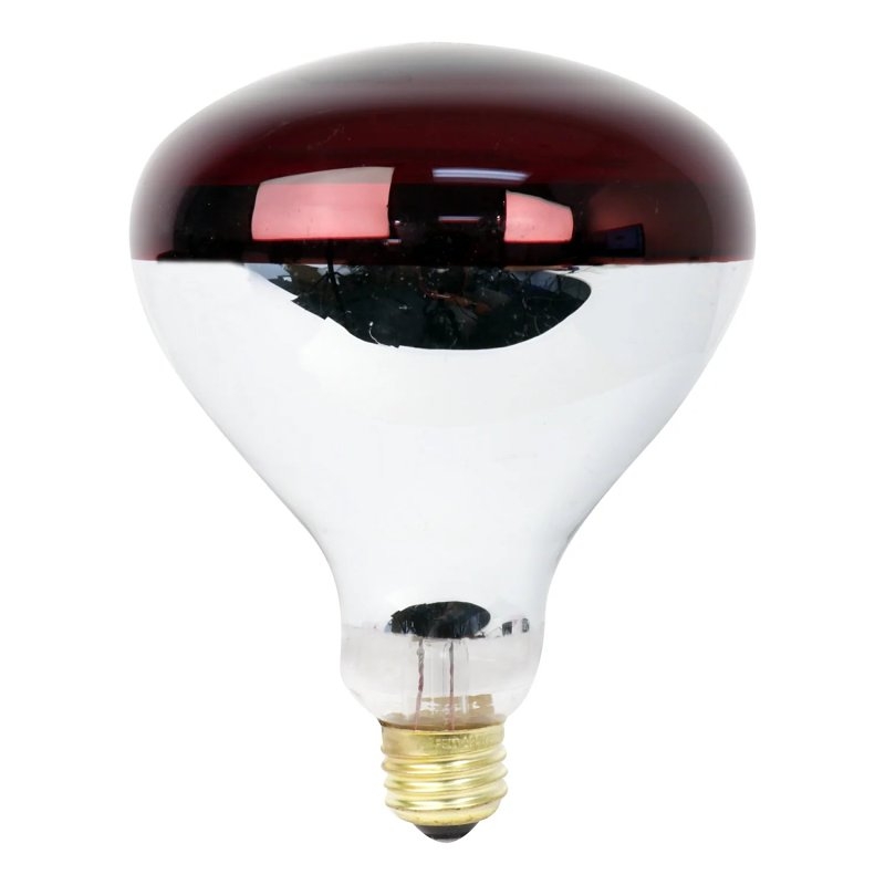 Product Image for 250R40/R BULB INCAN HEAT 250W
