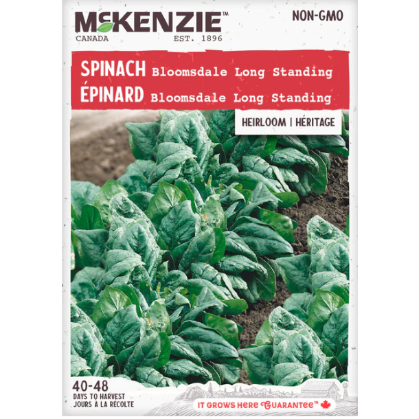Product Image for Spinach Long Standing Bloomsda