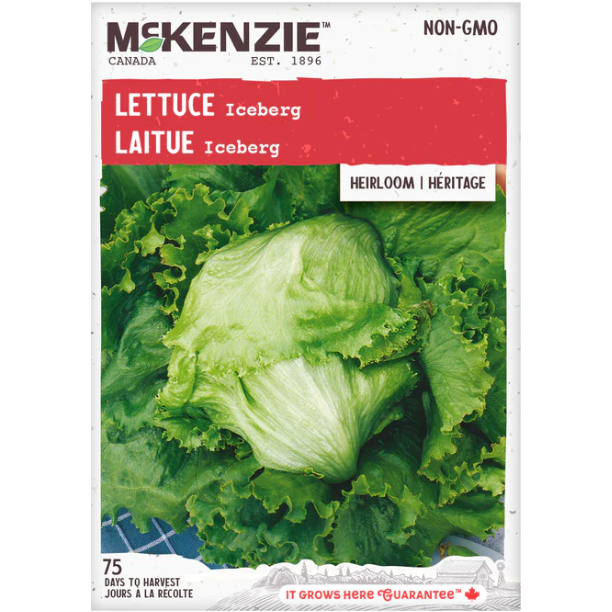 Product Image for Lettuce Iceberg