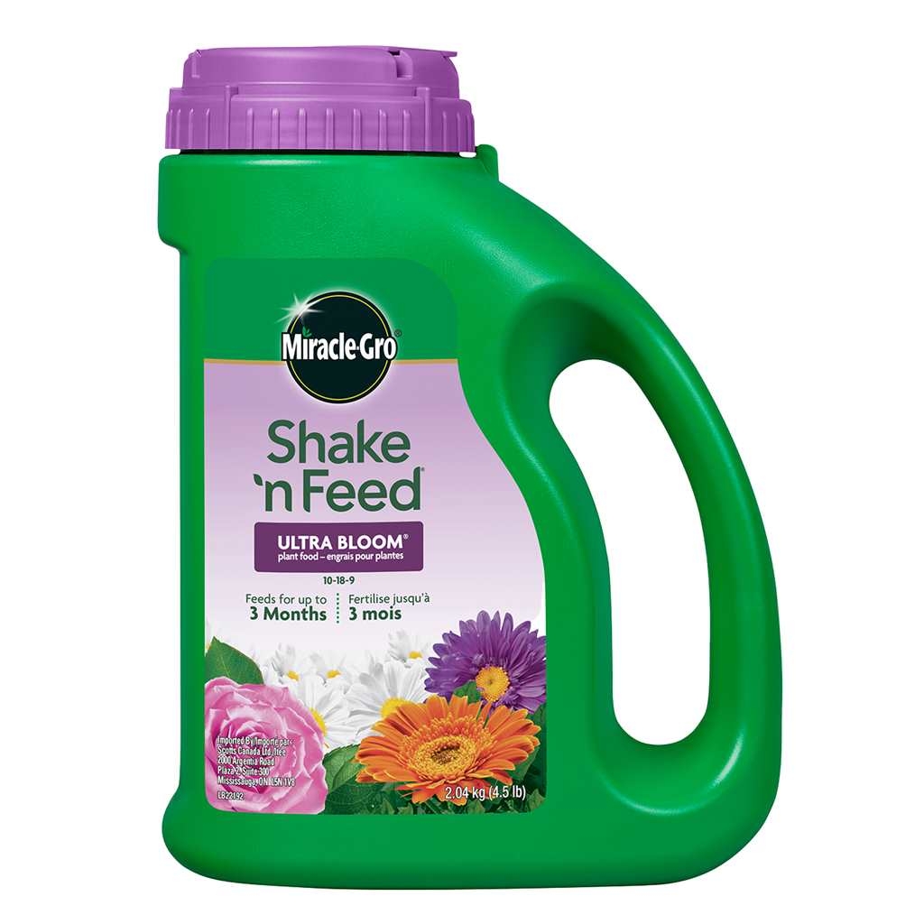 Product Image for Miracle-Gro Shake N Feed