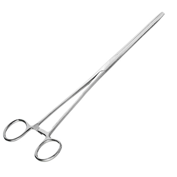 Product Image for 610FS,10IN Straight Forceps,SS