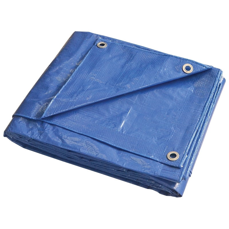 Product Image for BLUE TARP 10X20 MEDIUM DUTY