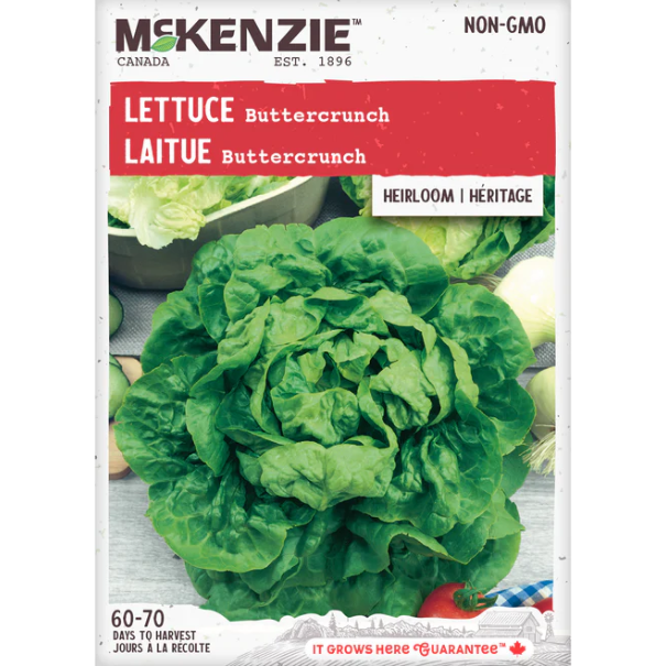 Product Image for Lettuce Buttercrunch