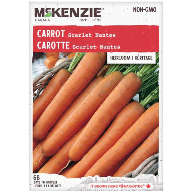 Product Image for Carrot Scarlet Nantes