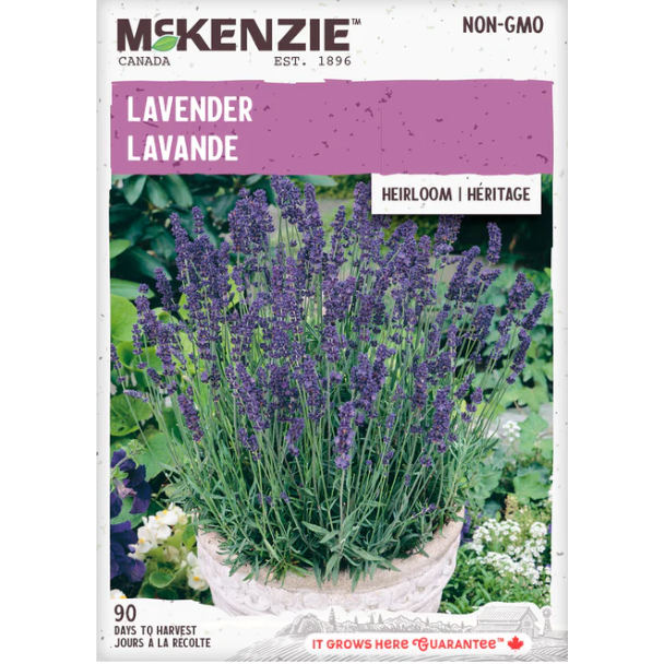 Product Image for Herb Lavender