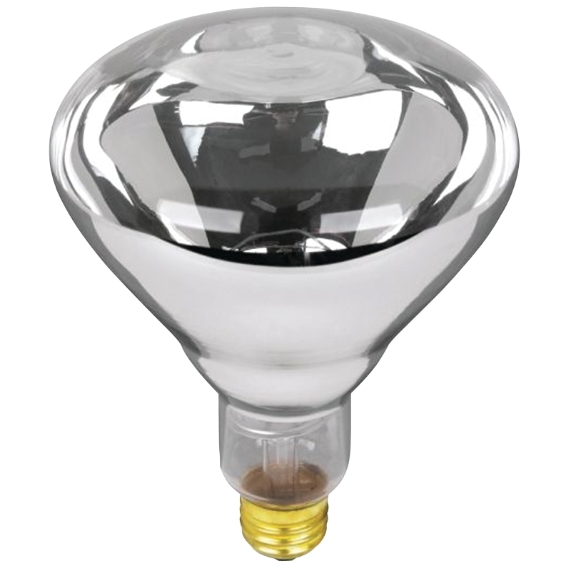 Product Image for 125R40/1 HEAT LAMP CLR 125W