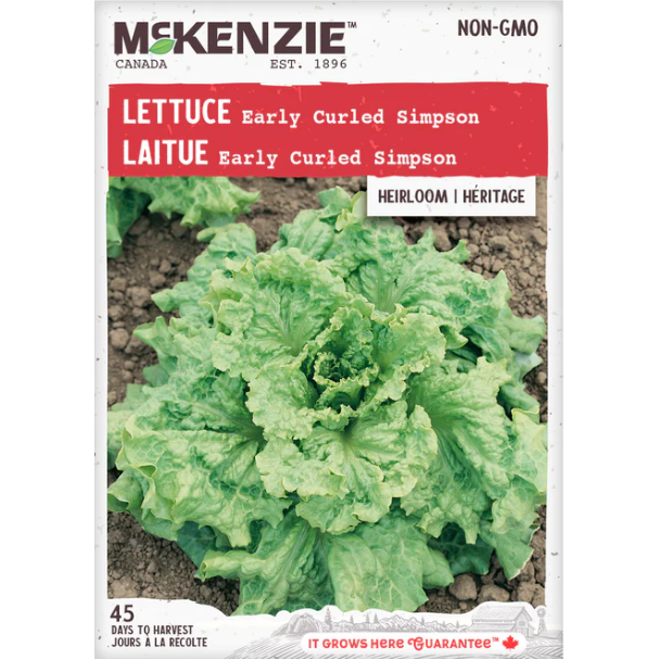 Product Image for Lettuce Early Curled Simpson