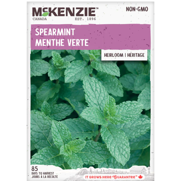 Product Image for Herb Spearmint