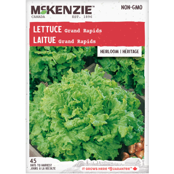 Product Image for Lettuce Grand Rapids