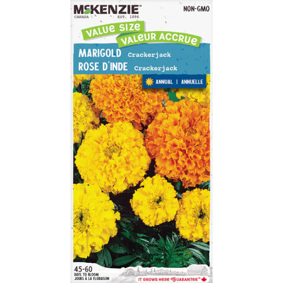 Product Image for Marigold Crackerjack