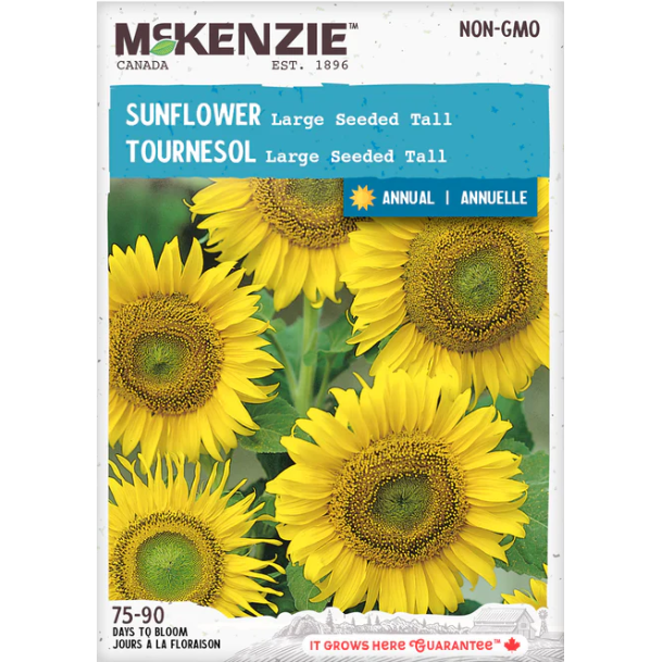 Product Image for Sunflower Large Seeded Tall