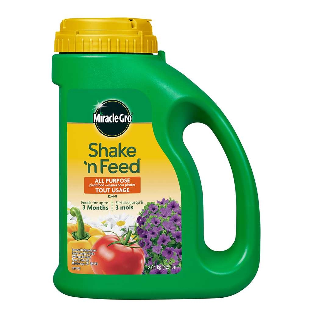 Product Image for Miracle-Gro Shake N Feed All