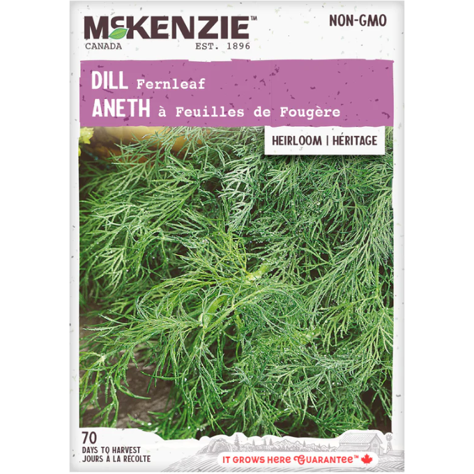 Product Image for Herb Dill Fernleaf