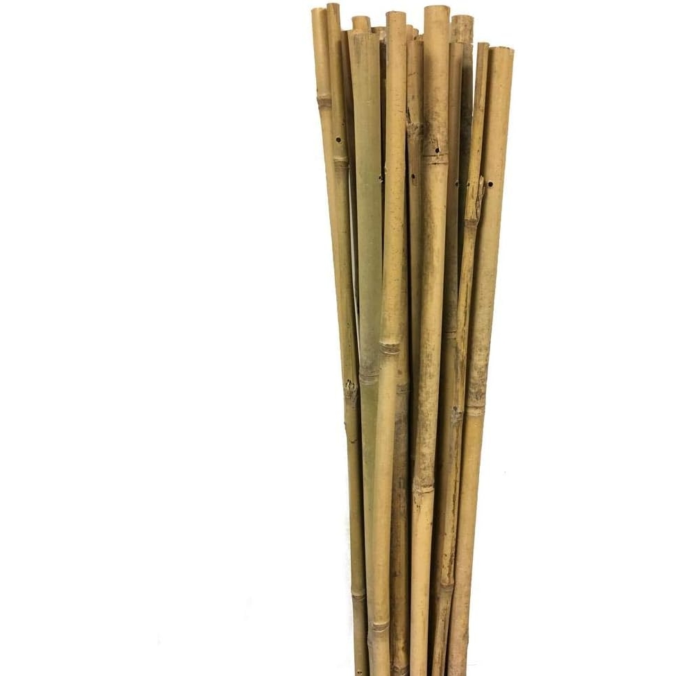 Product Image for 5FT BAMBOO STAKE