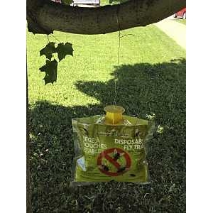 Product Image for 1554/FTD-DT12 TRAP/FLY