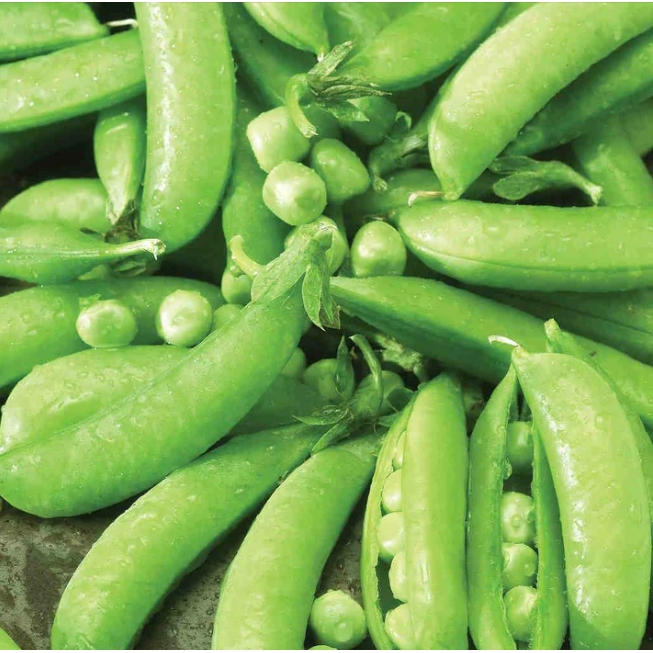 Product Image for Pea Sugar Snap Edible Pod