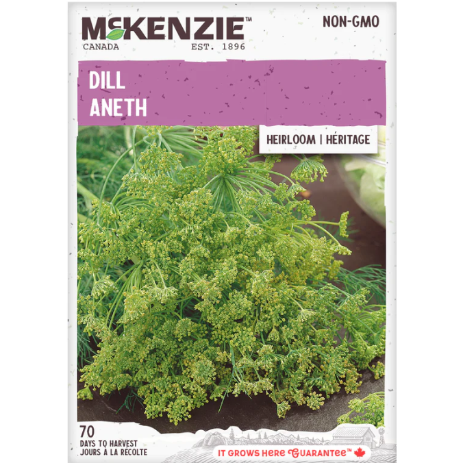 Product Image for Herb Dill (Bouquet)