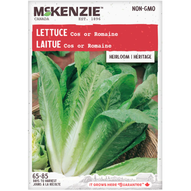 Product Image for Lettuce Romaine
