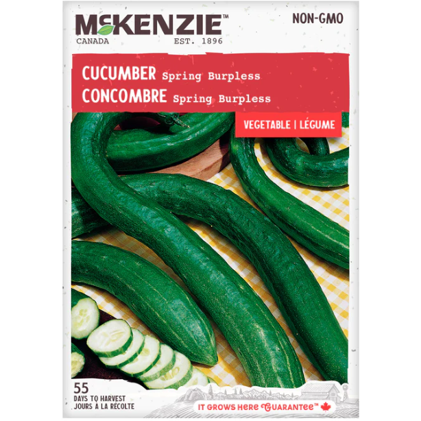 Product Image for Cucumber Spring Burpless