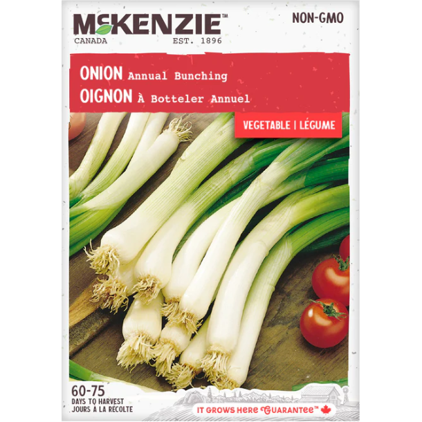 Product Image for Onion Annual Bunching