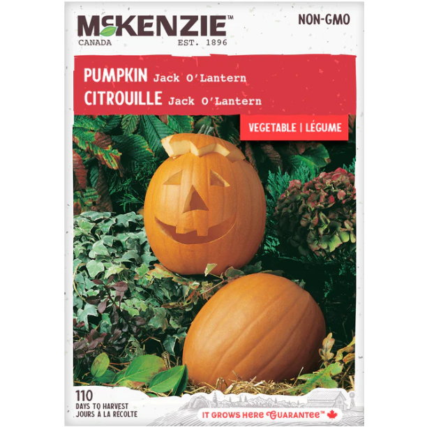 Product Image for Pumpkin Jack OFTLantern