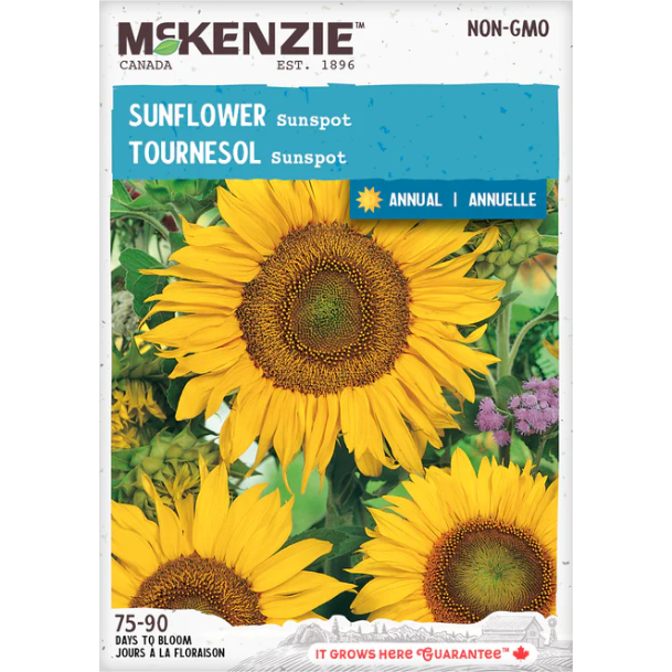 Product Image for Sunflower Sunspot