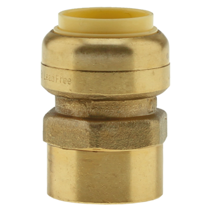 Product Image for 1INPFx1INFPT ADAPTER PLUMBEEZE PENL-PFFA10