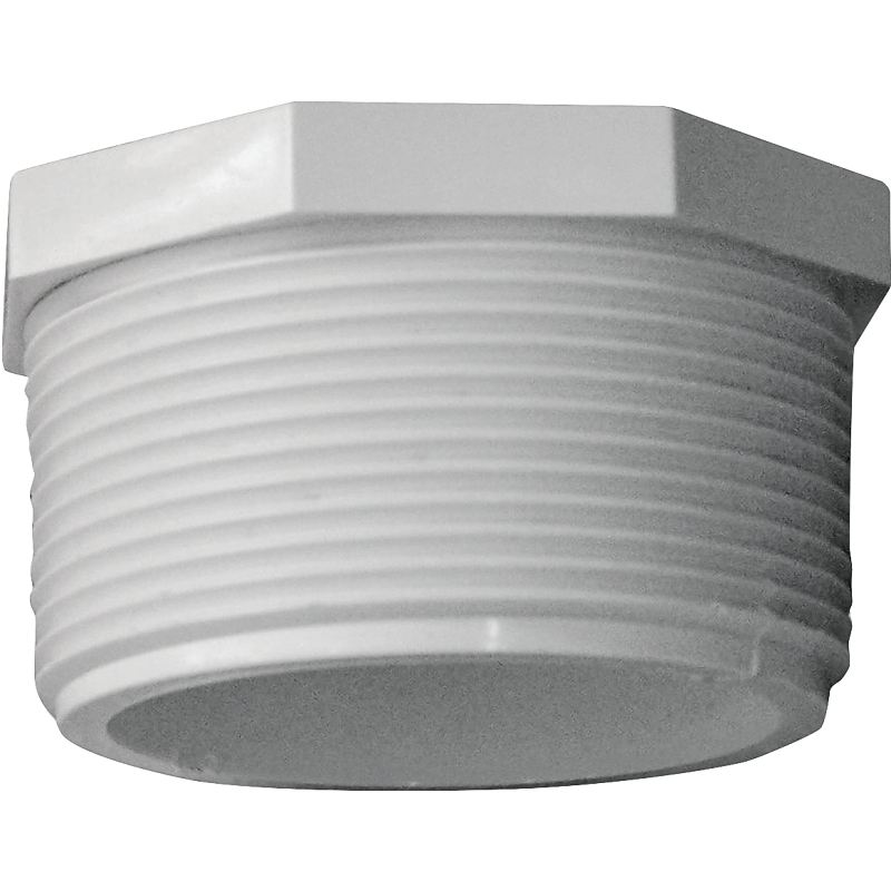 Product Image for 435627 2IN PLUG THREADED