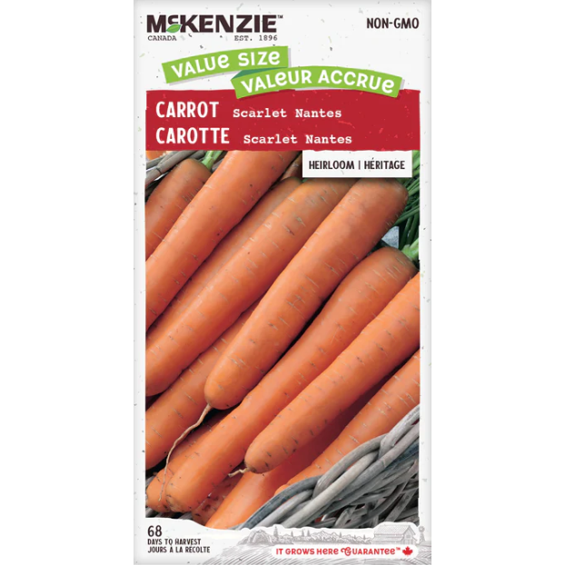 Product Image for Carrot Scarlet Nantes VS