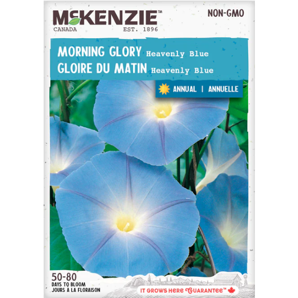 Product Image for Morning Glory Heavenly Blue