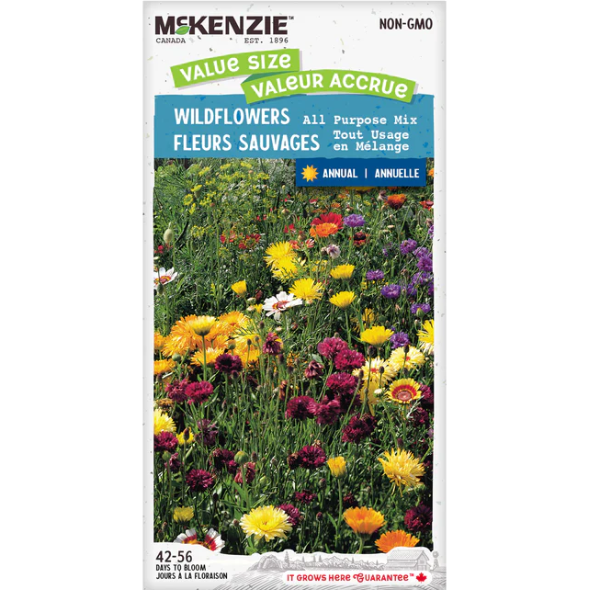 Product Image for Wildflowers Hummingbid VS