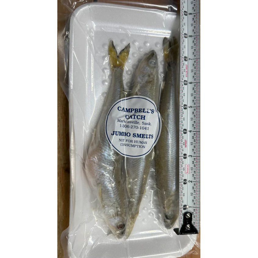 Product Image for CampbellFTs Catch Reg Smelts
