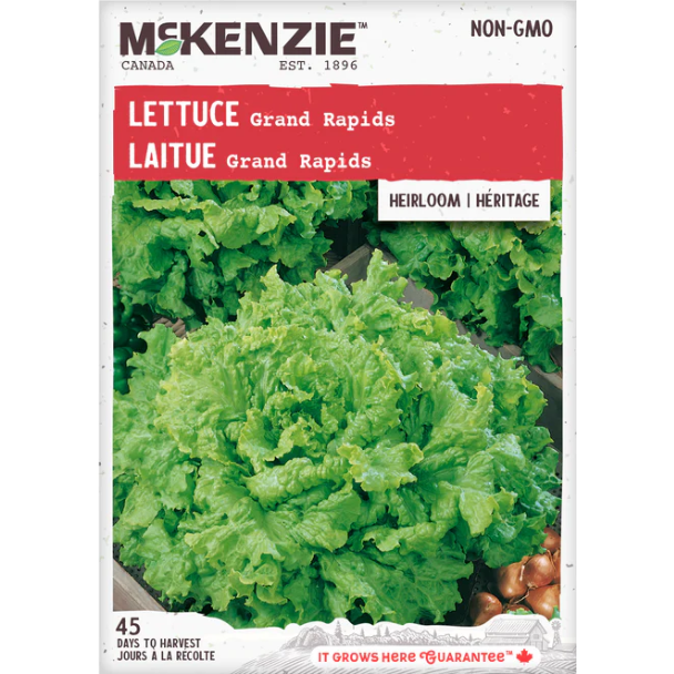 Product Image for Lettuce Grand Rapids VS