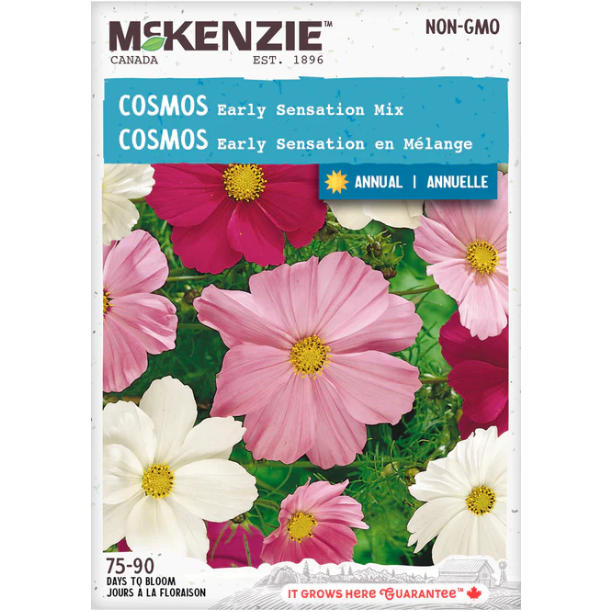 Product Image for Cosmos Early Sensation Mix