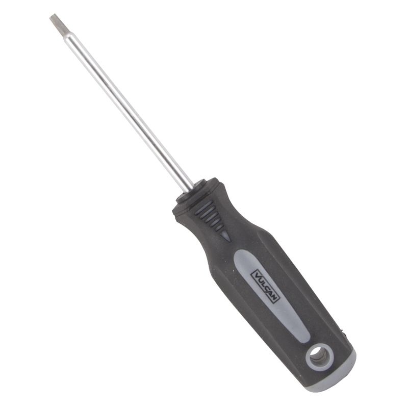 Product Image for SCREWDRIVER STAR T20X4IN CHINA