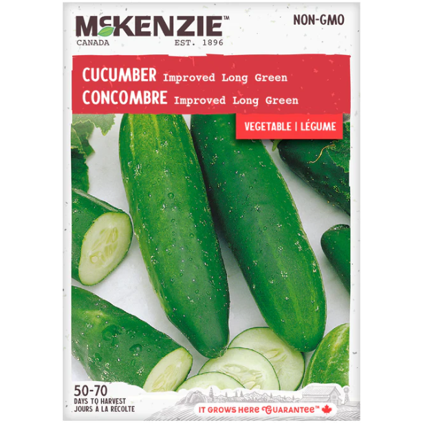 Product Image for Cucumber Long Green
