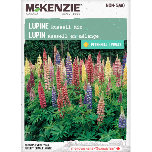 Product Image for Lupin Russell Mix