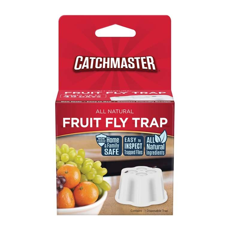 Product Image for Fruit Fly Trap