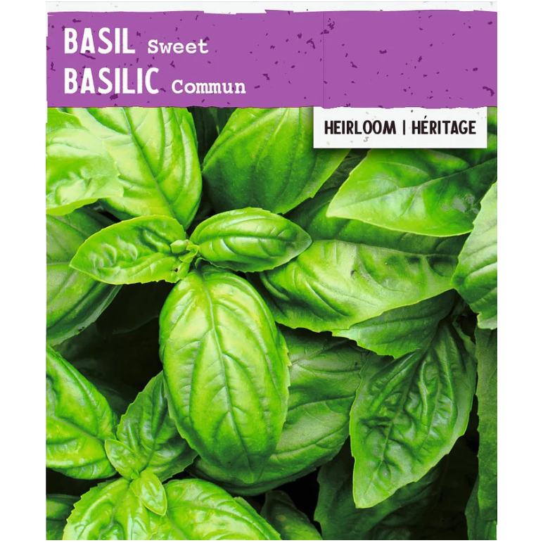 Product Image for Herb Basil Sweet